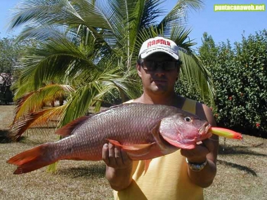 Pesca en Punta Cana